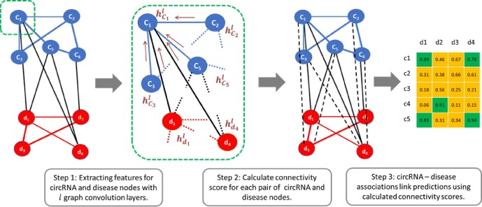 CircWalk: Predicting CircRNA-Disease Associations using Graph Representation Learning's cover