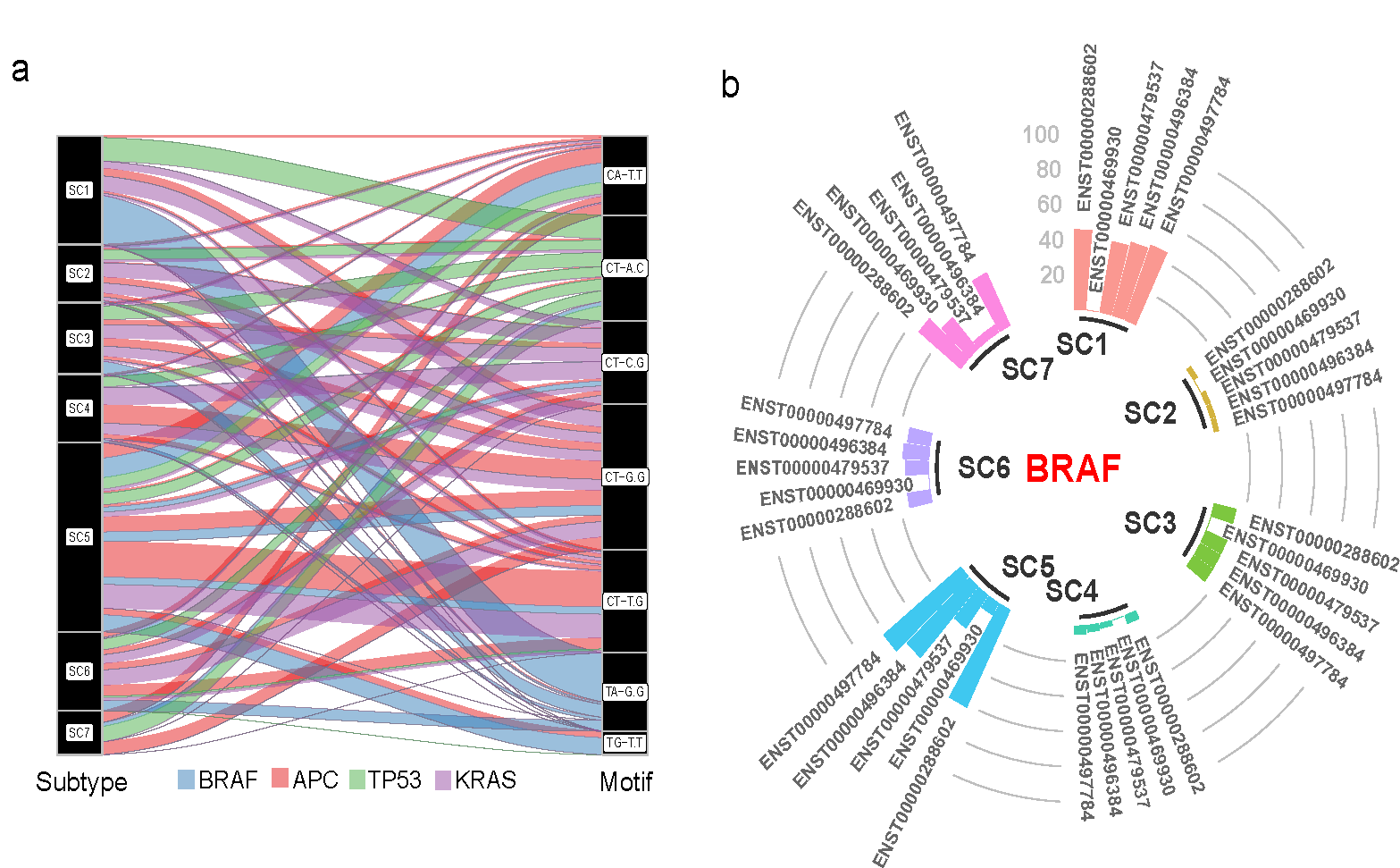 Integrative analysis of mutated genes and mutational processes reveals seven colorectal cancer subtypes's cover