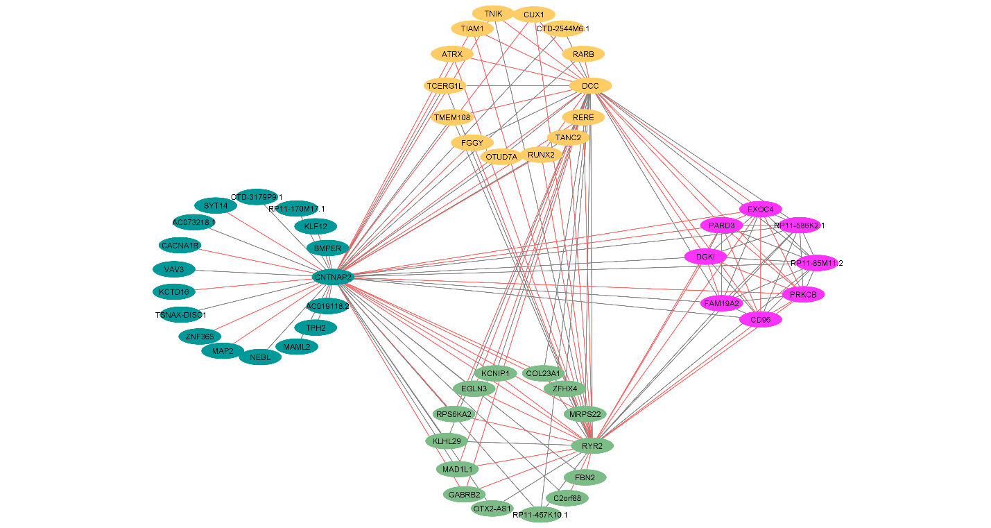 Mutational Network Analysis's cover