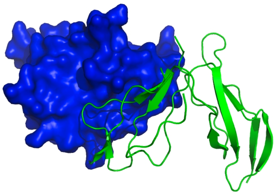 Compound-Protein Interaction Prediction's cover